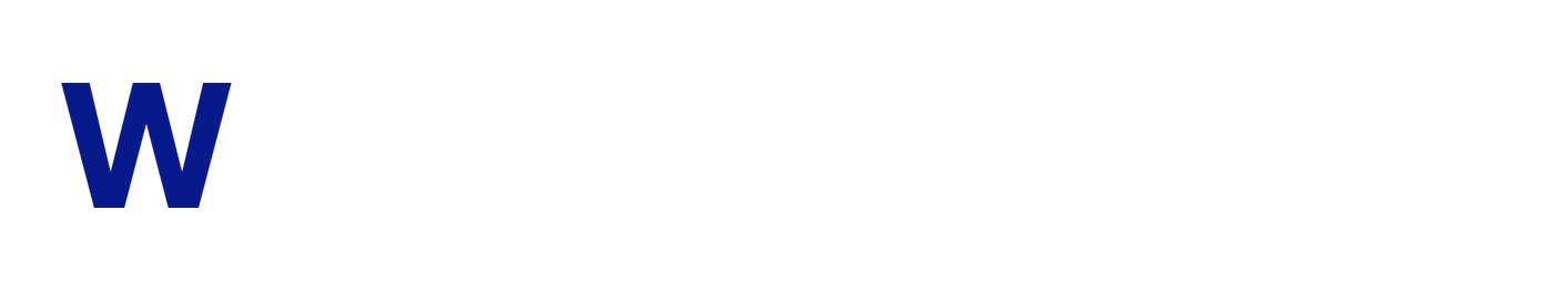 WordPress Site